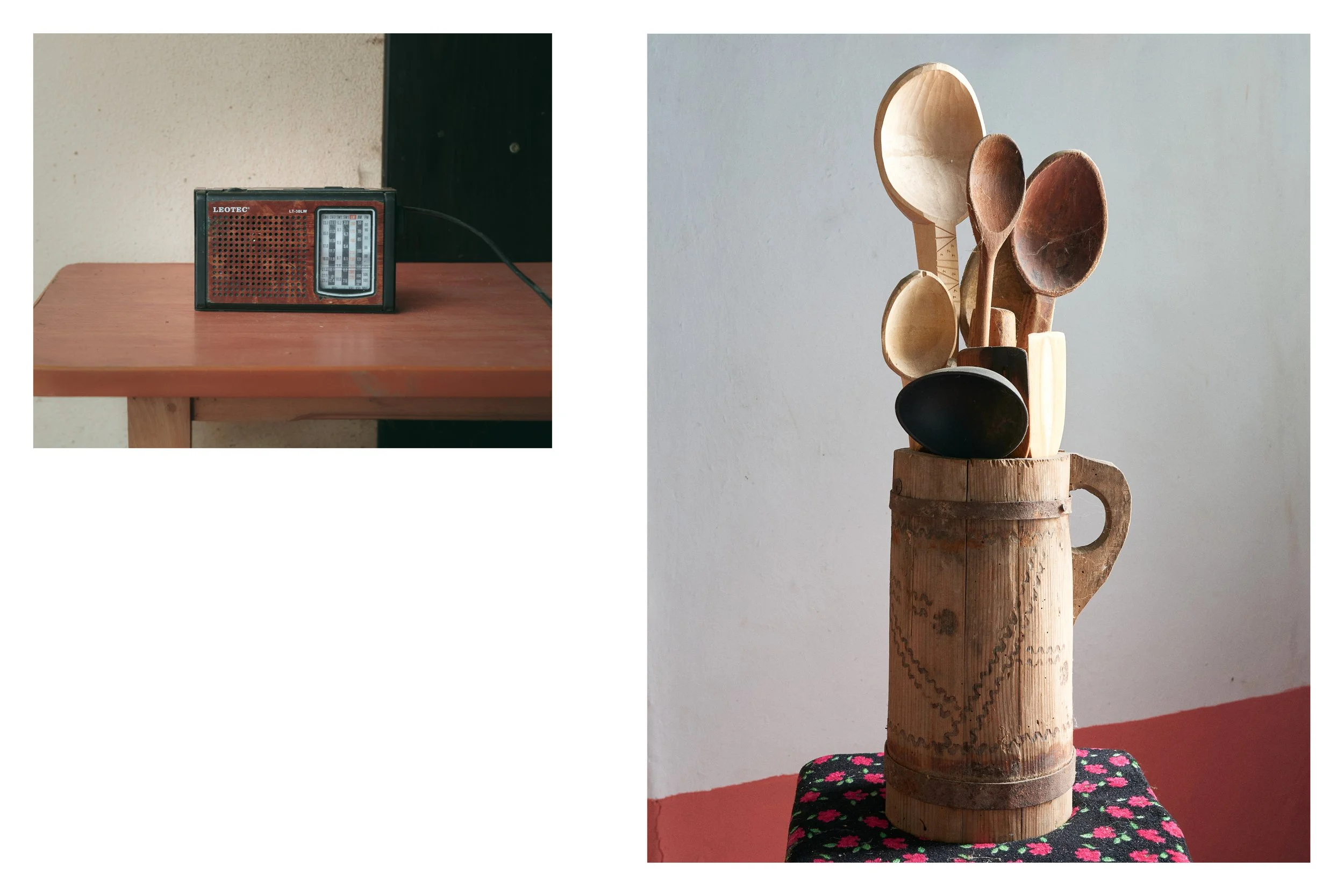 Glas de păpădie_7.jpg