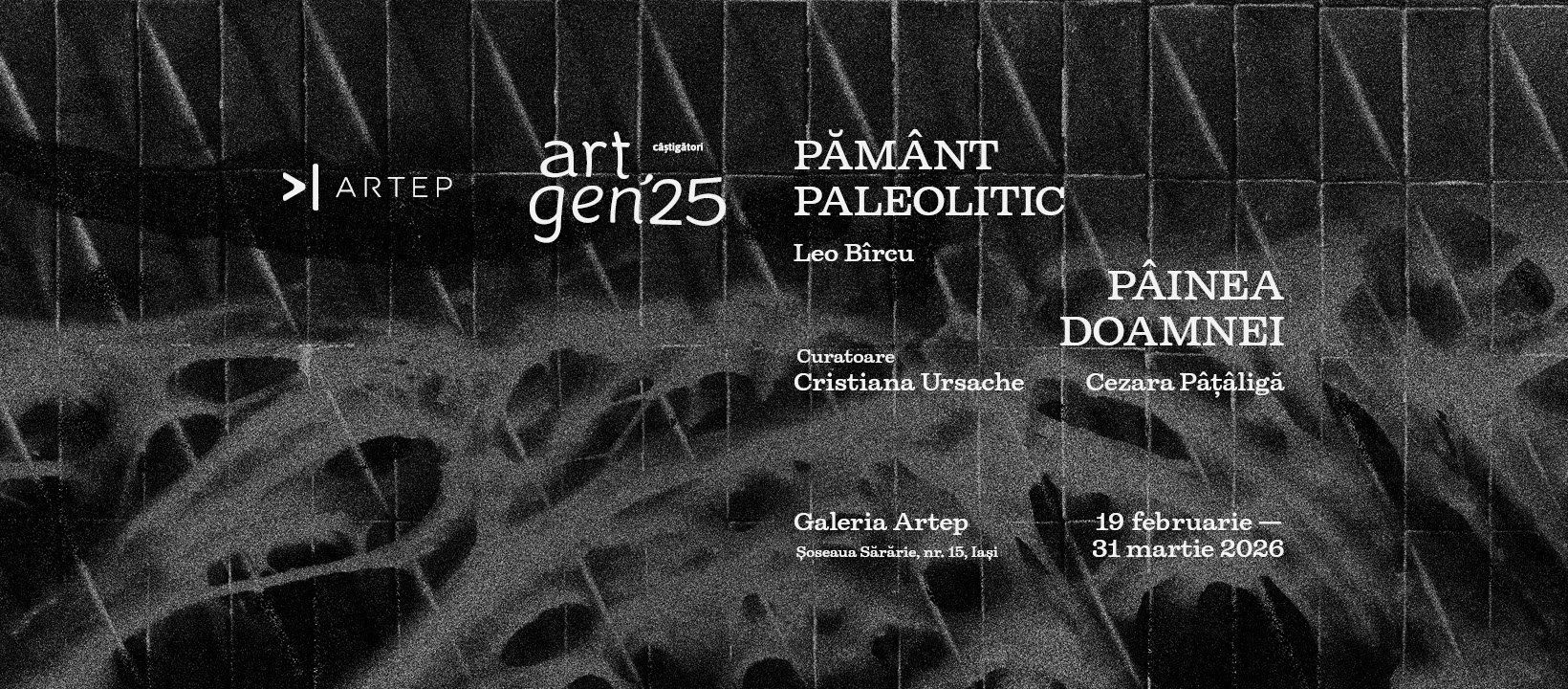 Expoziție la Galeria Artep: „Pâinea Doamnei” și „Pământ Paleolitic”, de Cezara Pâțâligă și Leo Bîrcu, câștigători Art Gen ’25