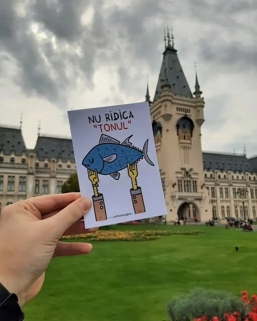 Adrian Serghie - Expoziție de expresii ilustrate românești