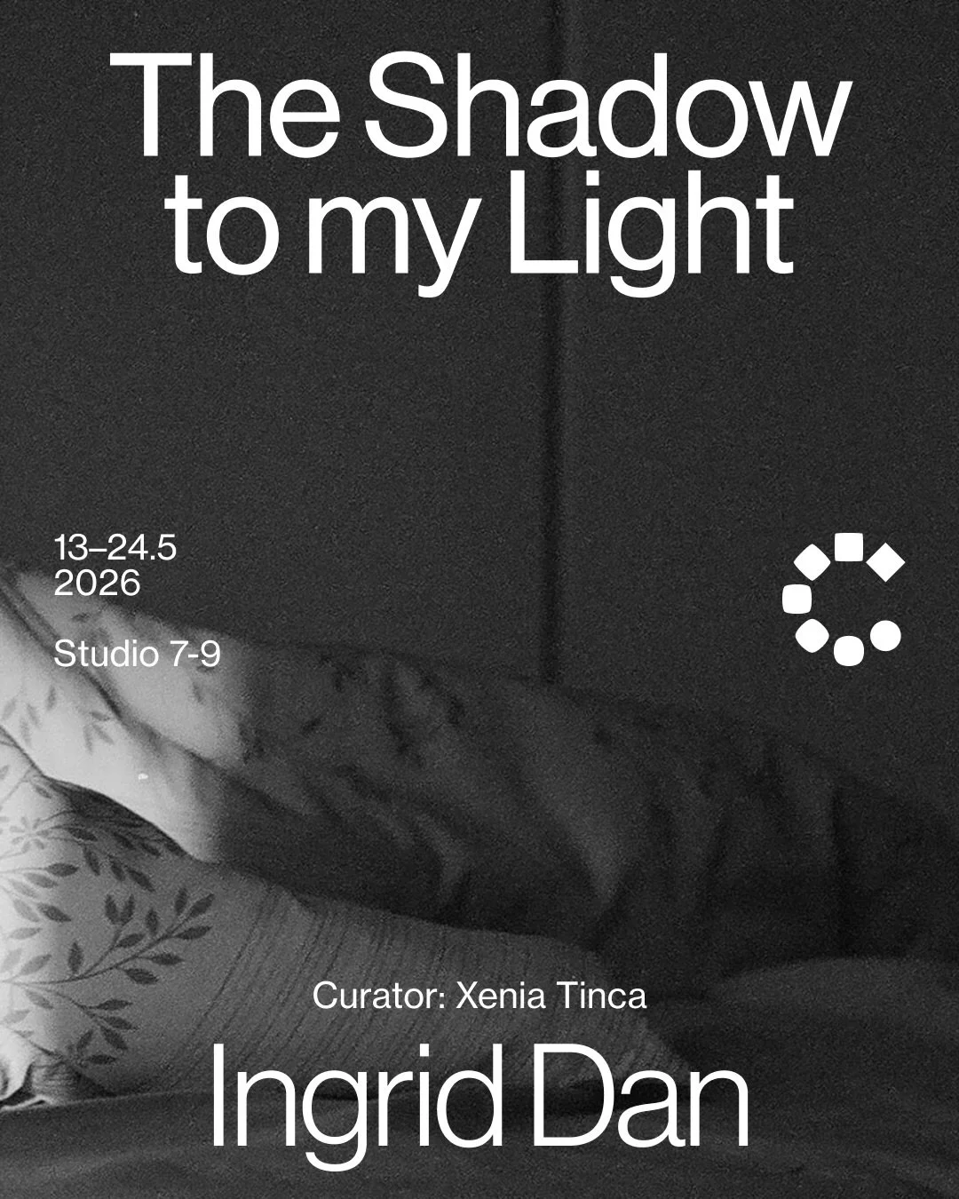 „The Shadow to my Light”, Ingrid Dan expune fotografie în RCW 2026