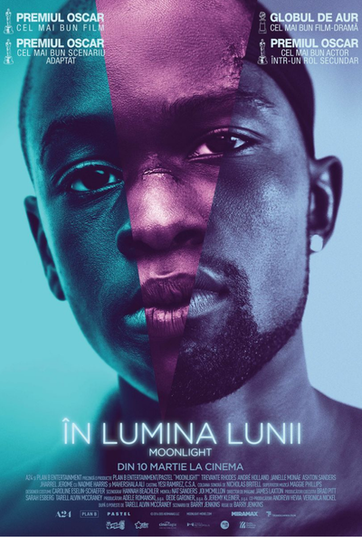 „Moonlight” - proiecție de film la Baia Turcească