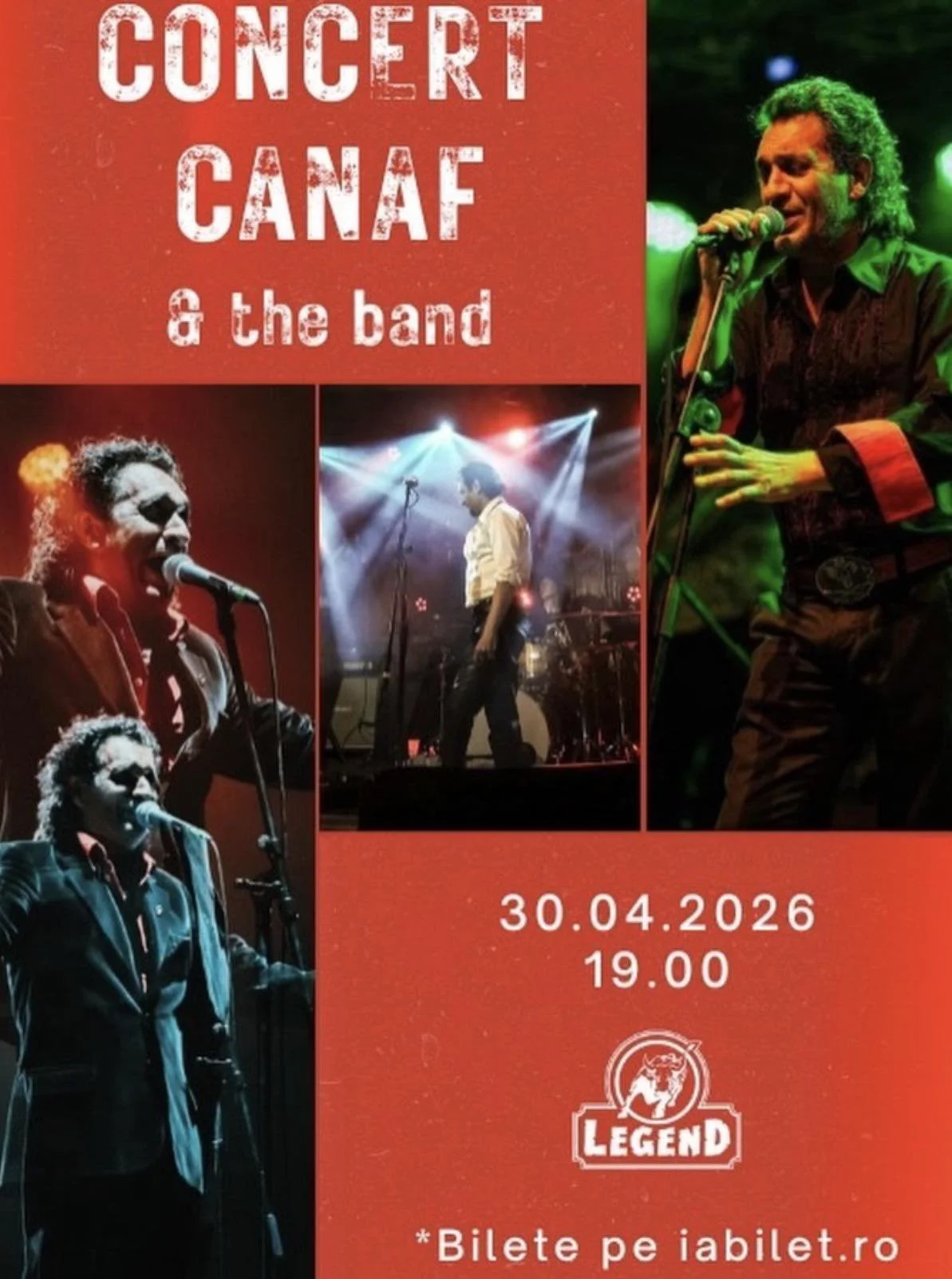 Lansare album: „Reacții adverse” de Ana Coman