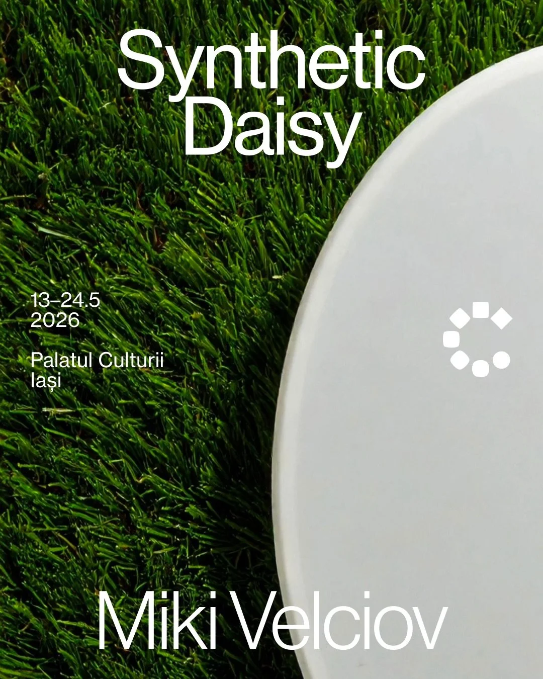„Synthetic Daisy”, expoziție semnată de Miki Velciov, în RCW 2026