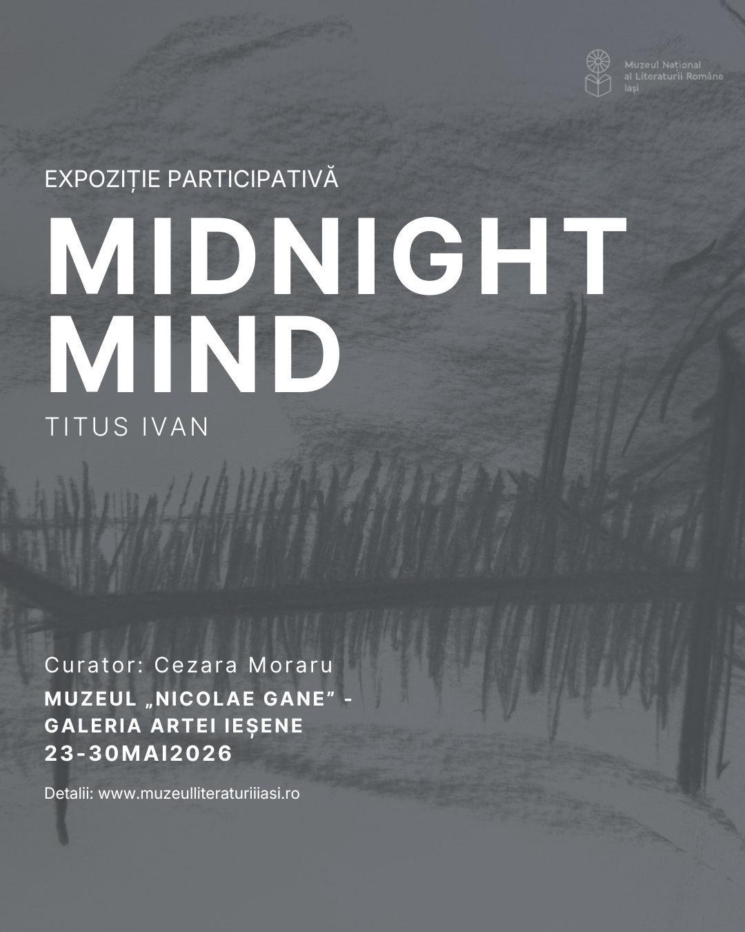 „Midnight Mind” de Titus Ivan, expoziție participativă