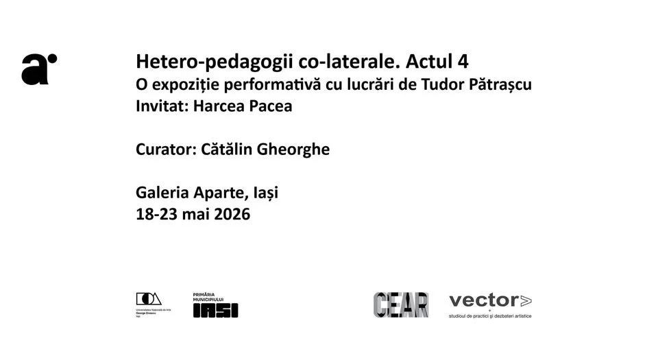 Hetero-pedagogii co-laterale. Actul 4. O expoziție performativă cu lucrări de Tudor Pătrașcu