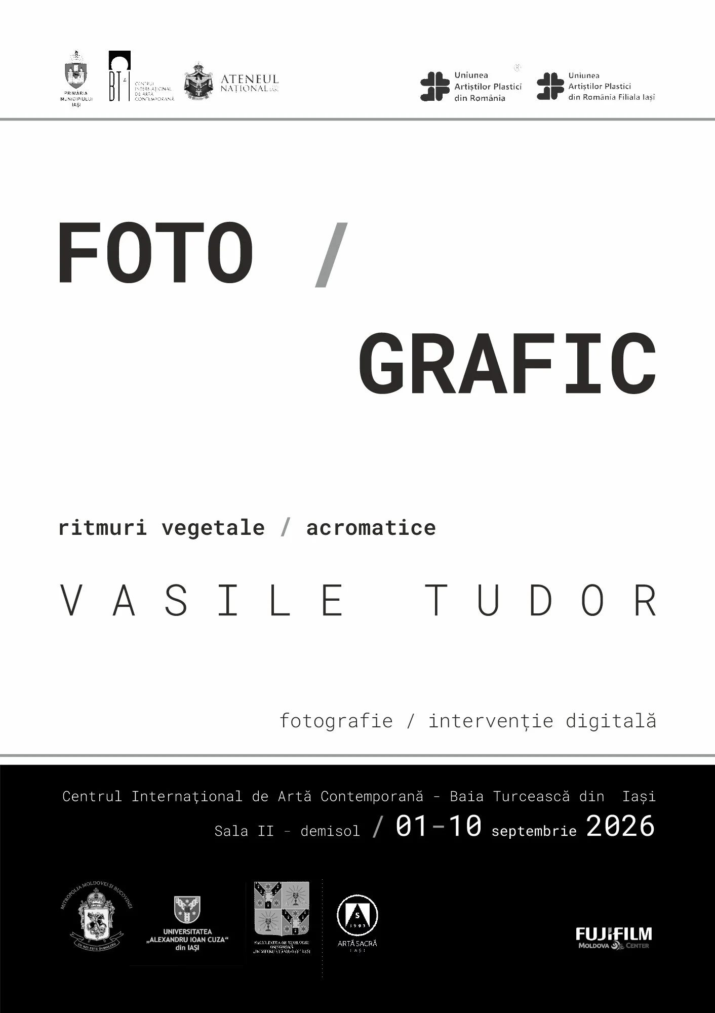 Expoziție de Vasile Tudor la Baia Turcească, 1-10 septembrie