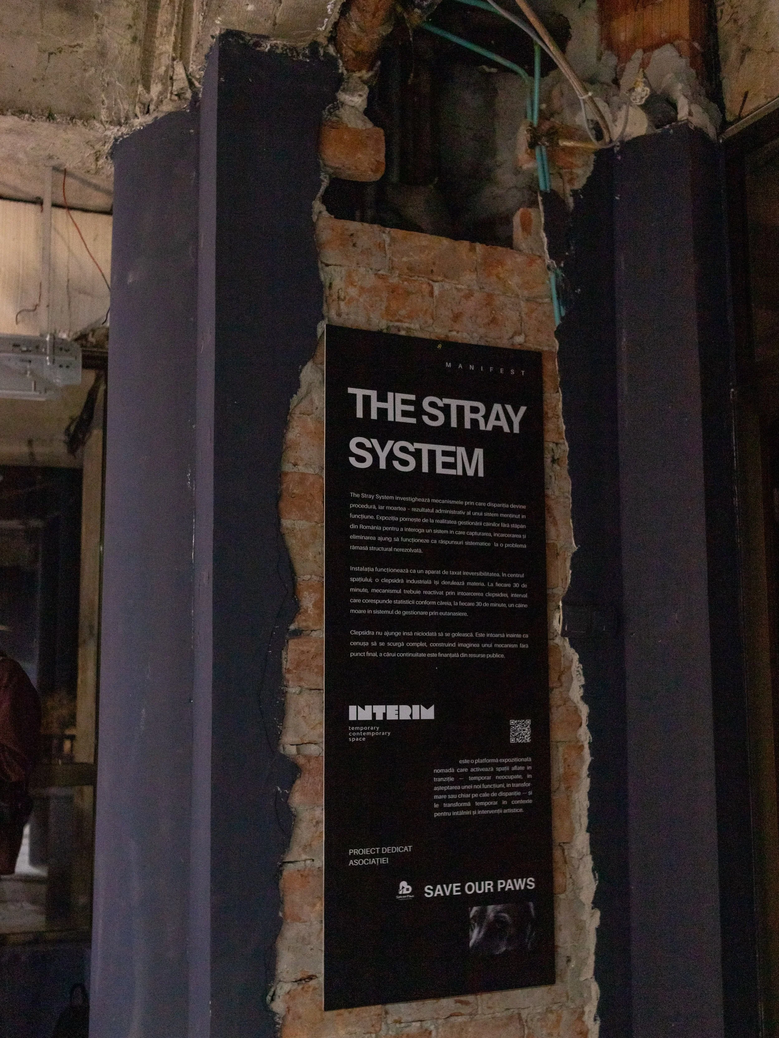 „The Stray System”, expoziție de grup în cadrul NAG 2026