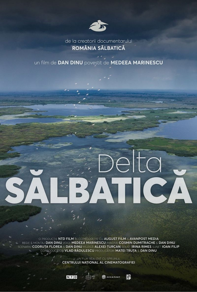 Filmul documentar „Delta sălbatică” la Cinema Ateneu, în 23 și 24 octombrie