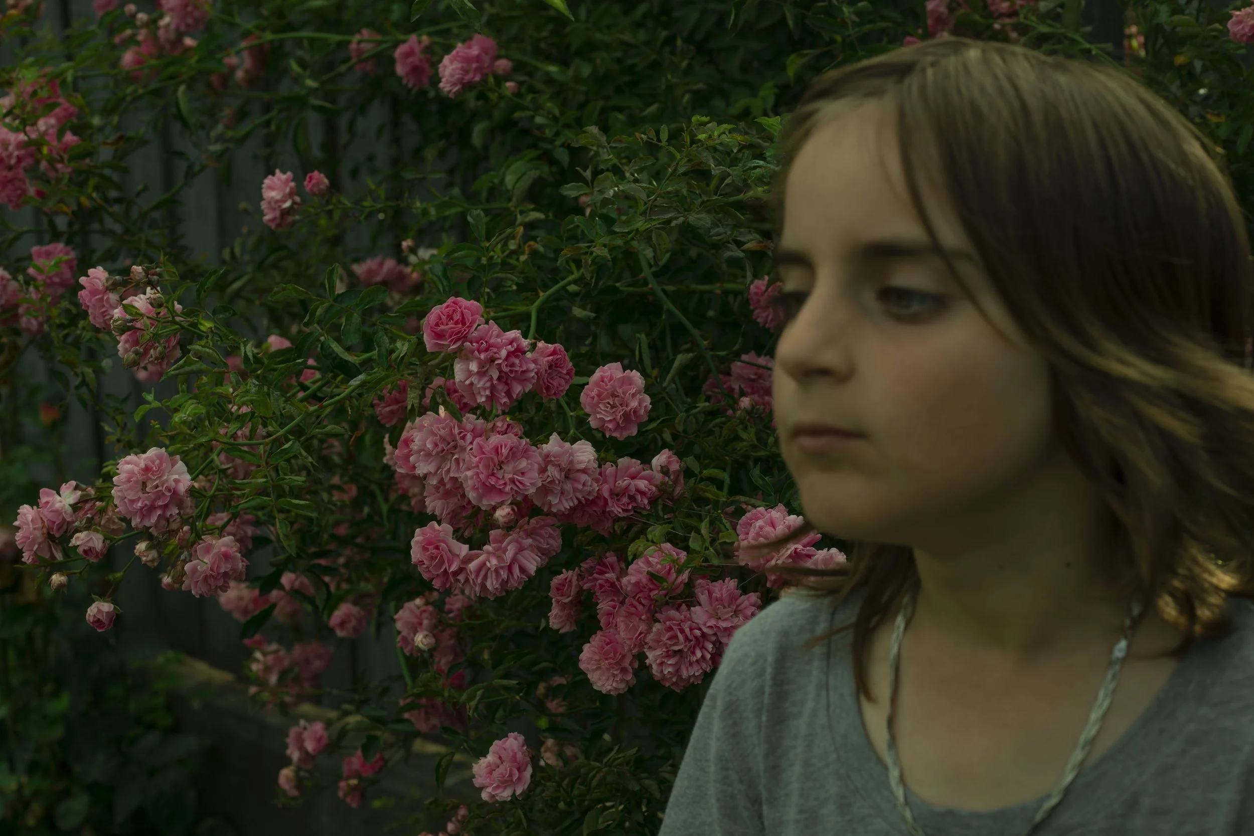 Ioana Rusu - Hundorf- 1.jpg