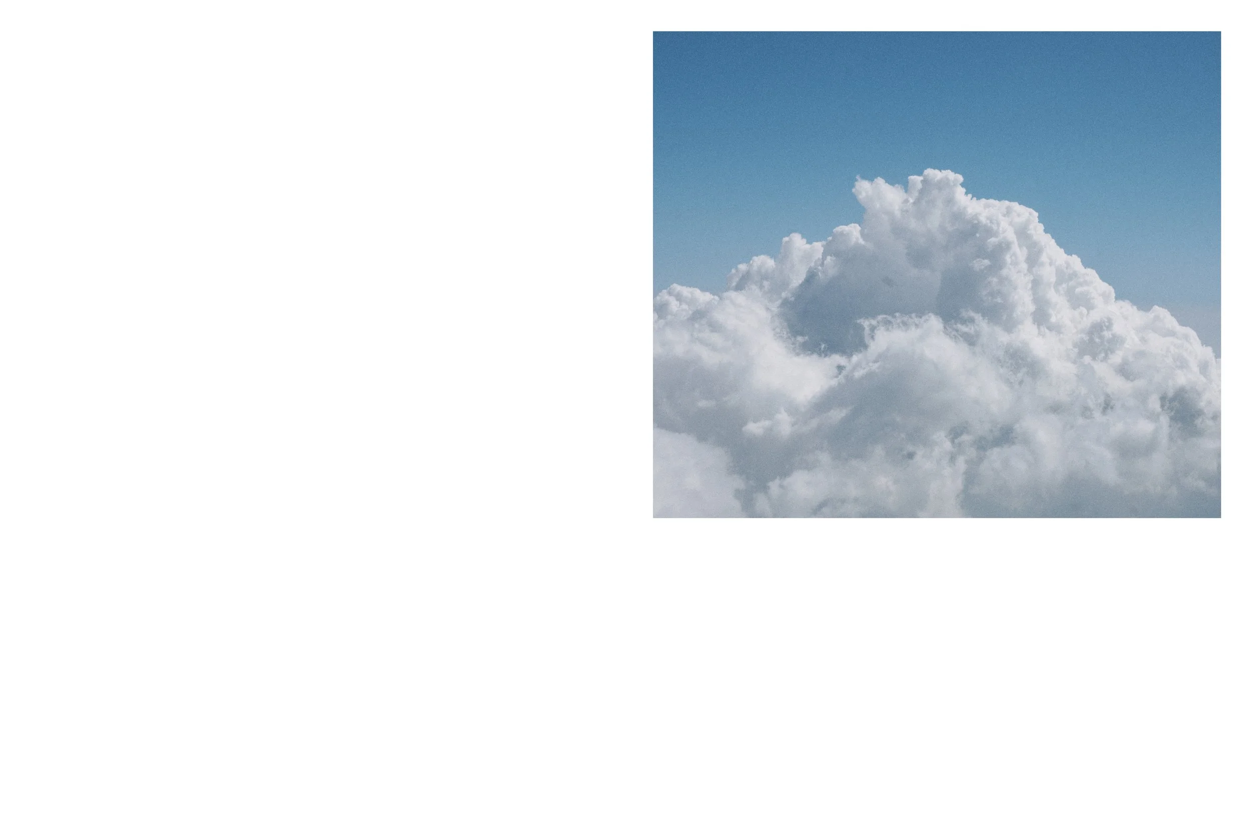 Glas de păpădie_12.jpg