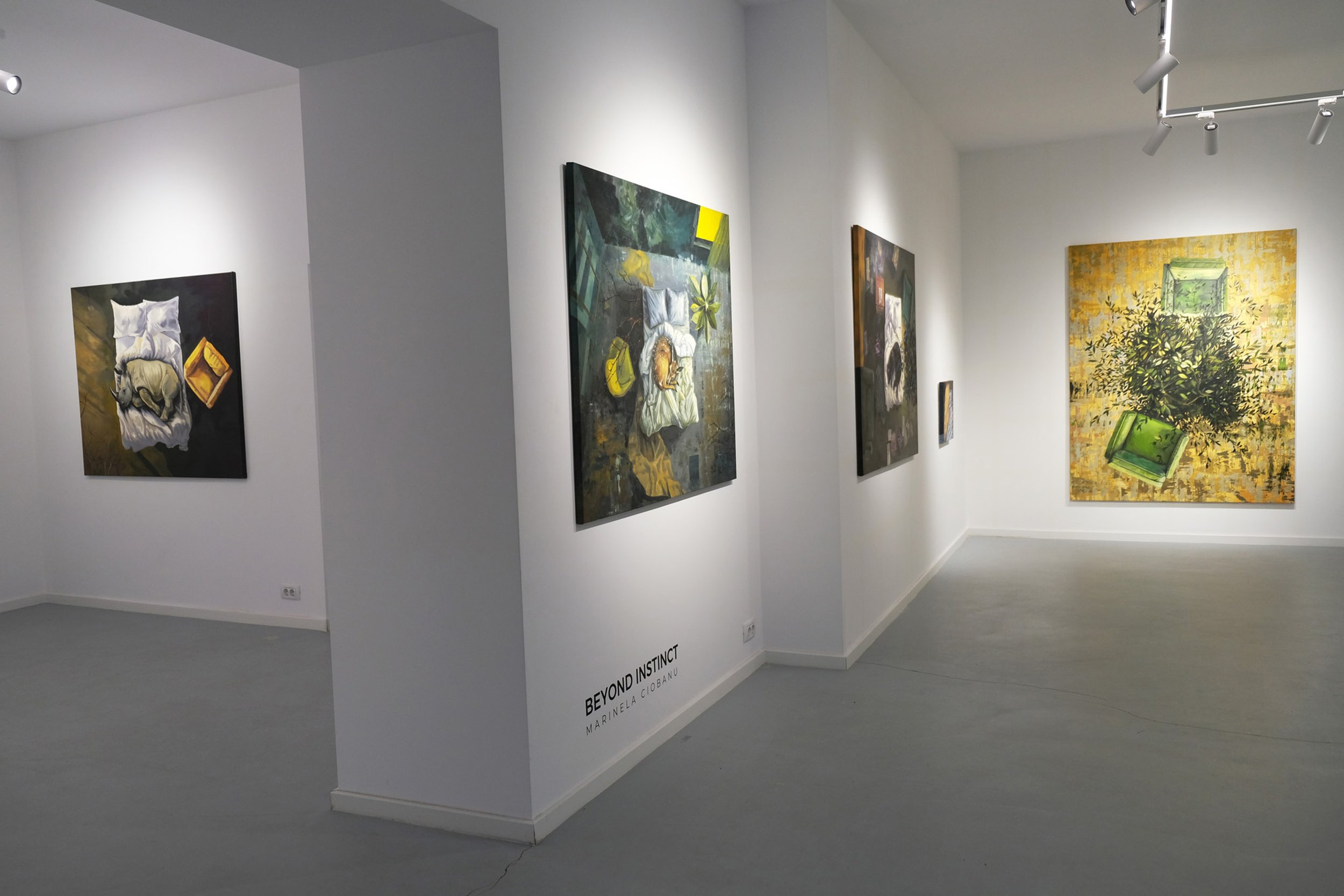imagini expo.jpg