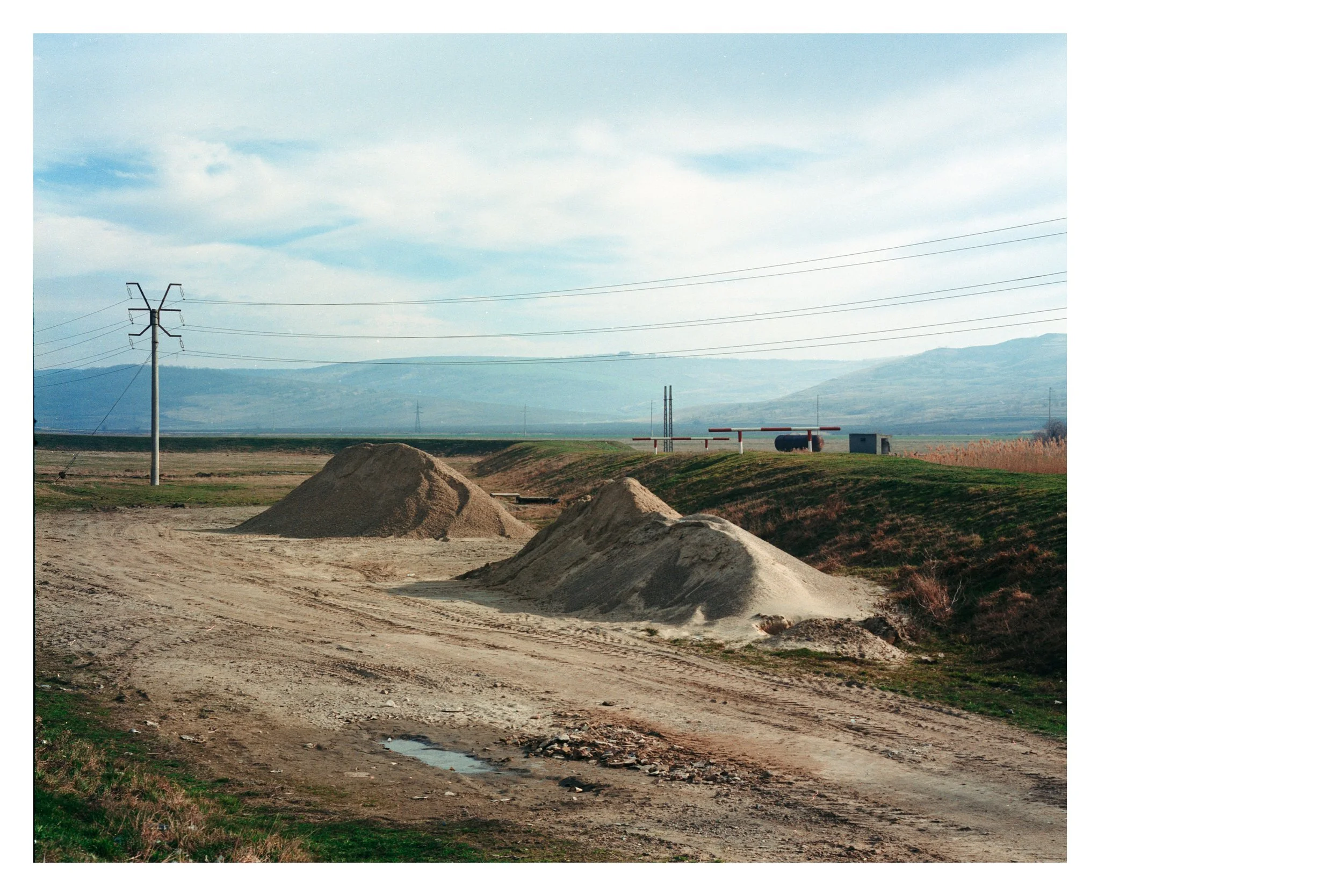 Glas de păpădie_6.jpg