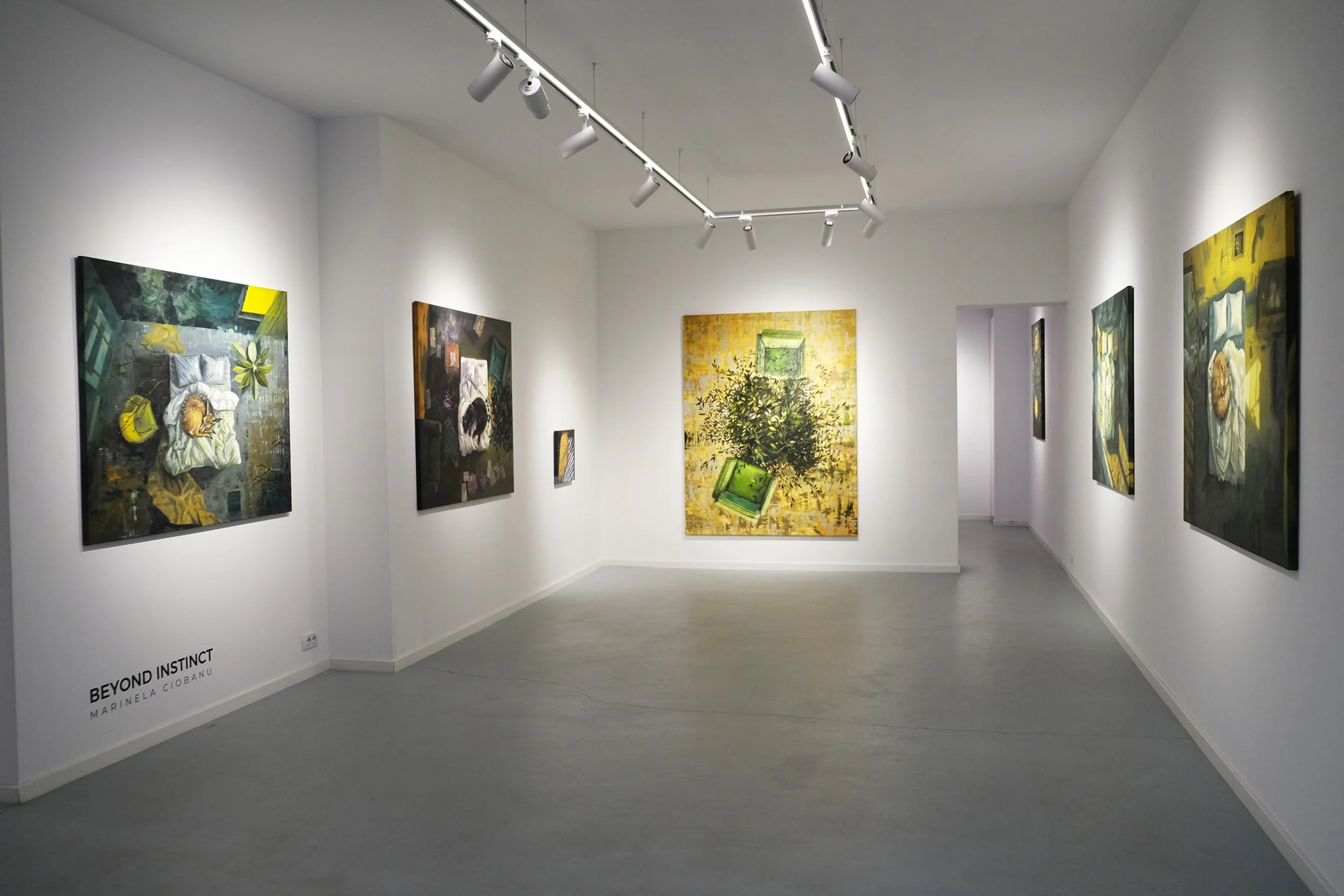 imagini expo (2).jpg