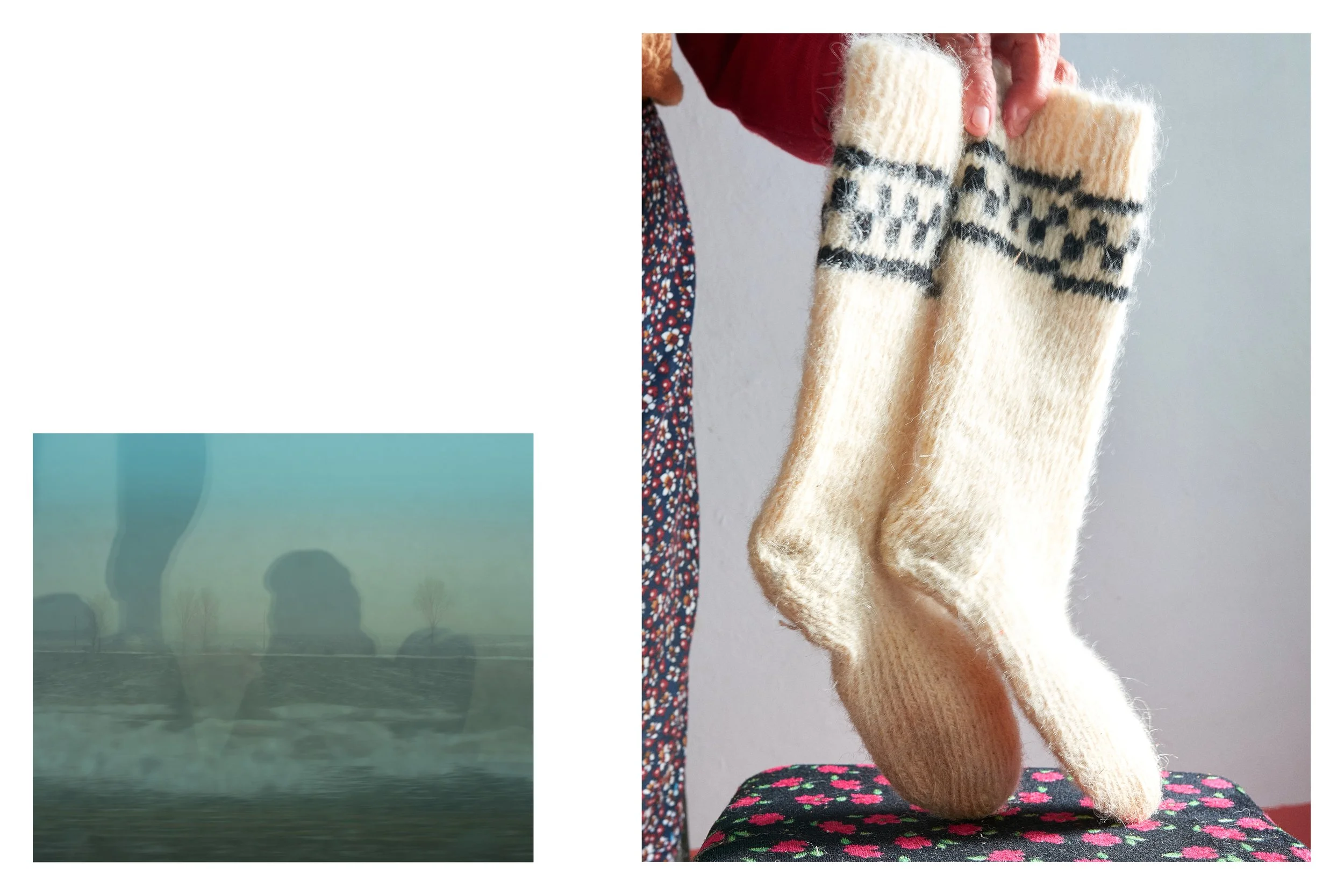 Glas de păpădie_4.jpg