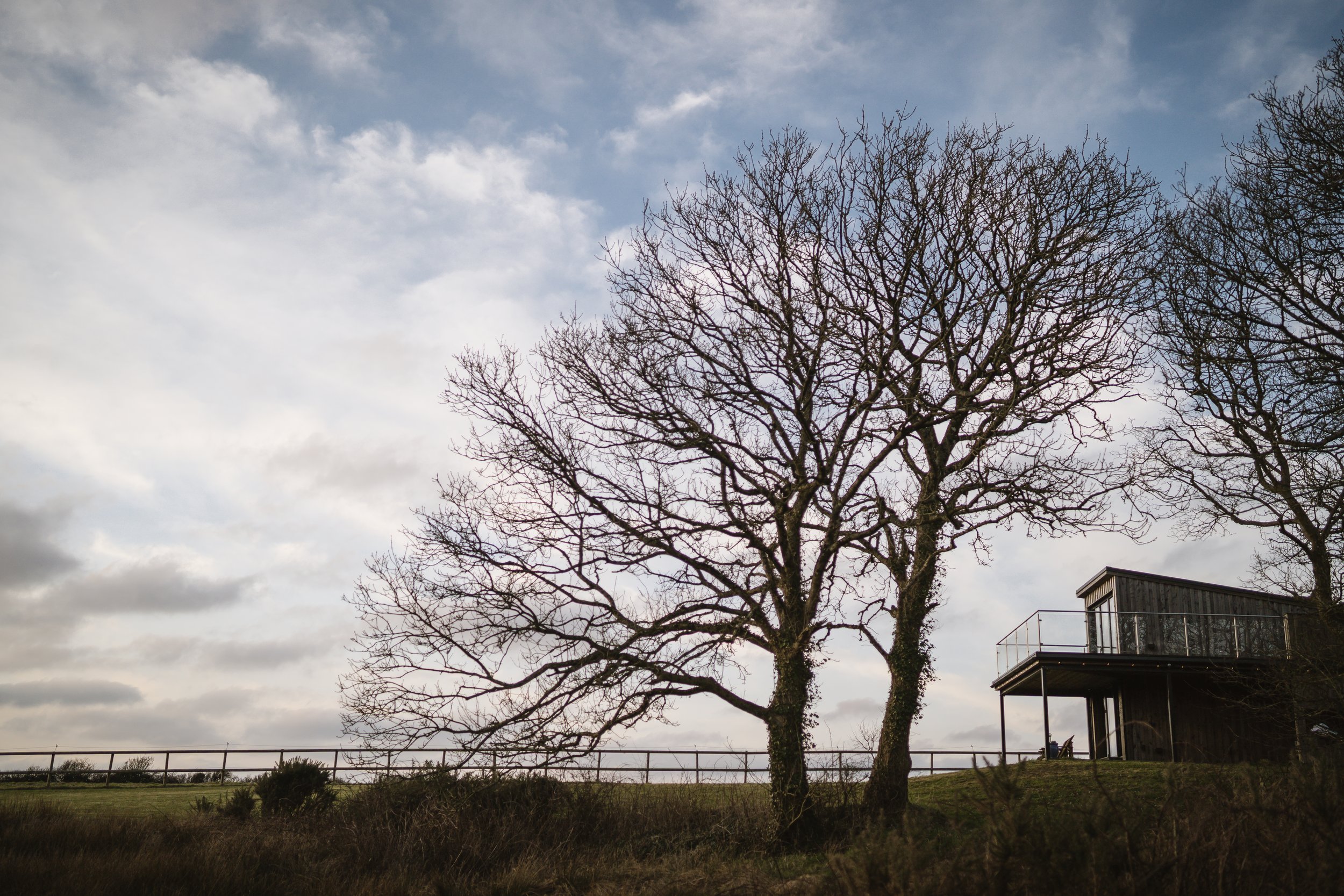 A leafless tree on a grassy hill with a modern house featuring a deck, wooden siding, and large windows, under a partly cloudy sky.