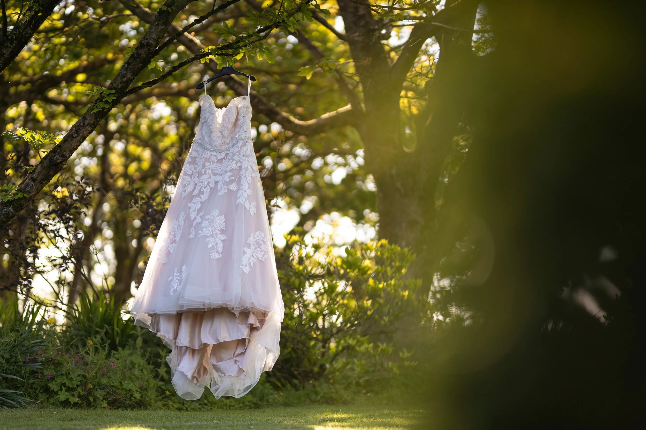 A white wedding dress hanging from a tree branch in a garden with green trees and sunlight.