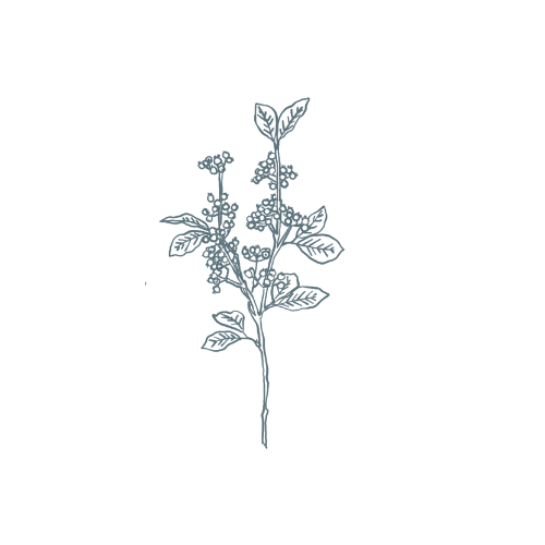 Gloucestershire interior designer