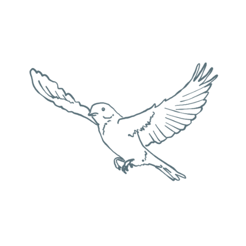 Interior Designer Gloucestershire