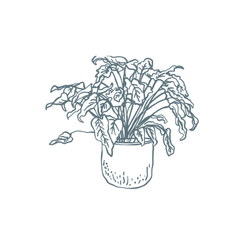 Gloucestershire interior designer, Cotswolds interior designer