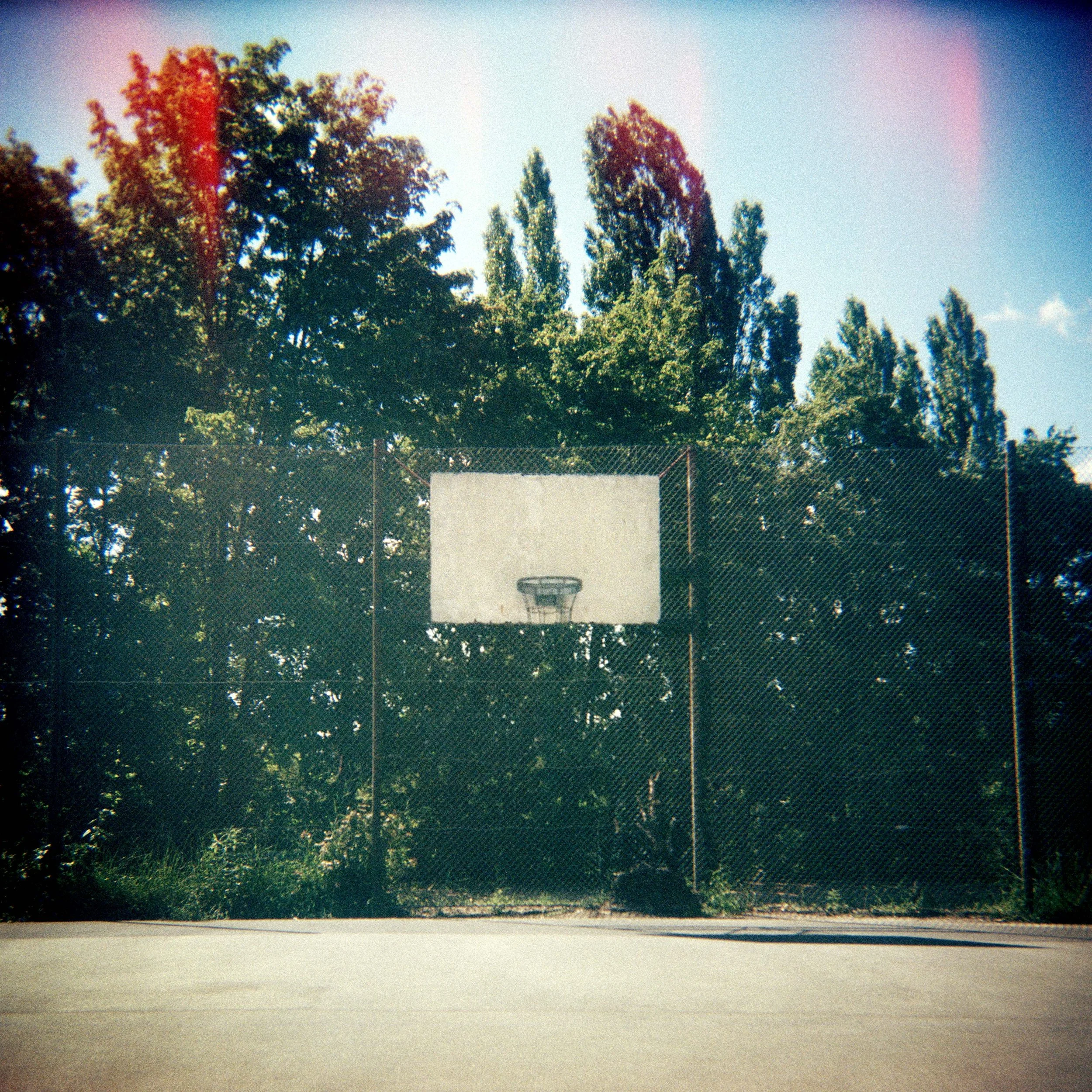 basket berlin holga.jpg
