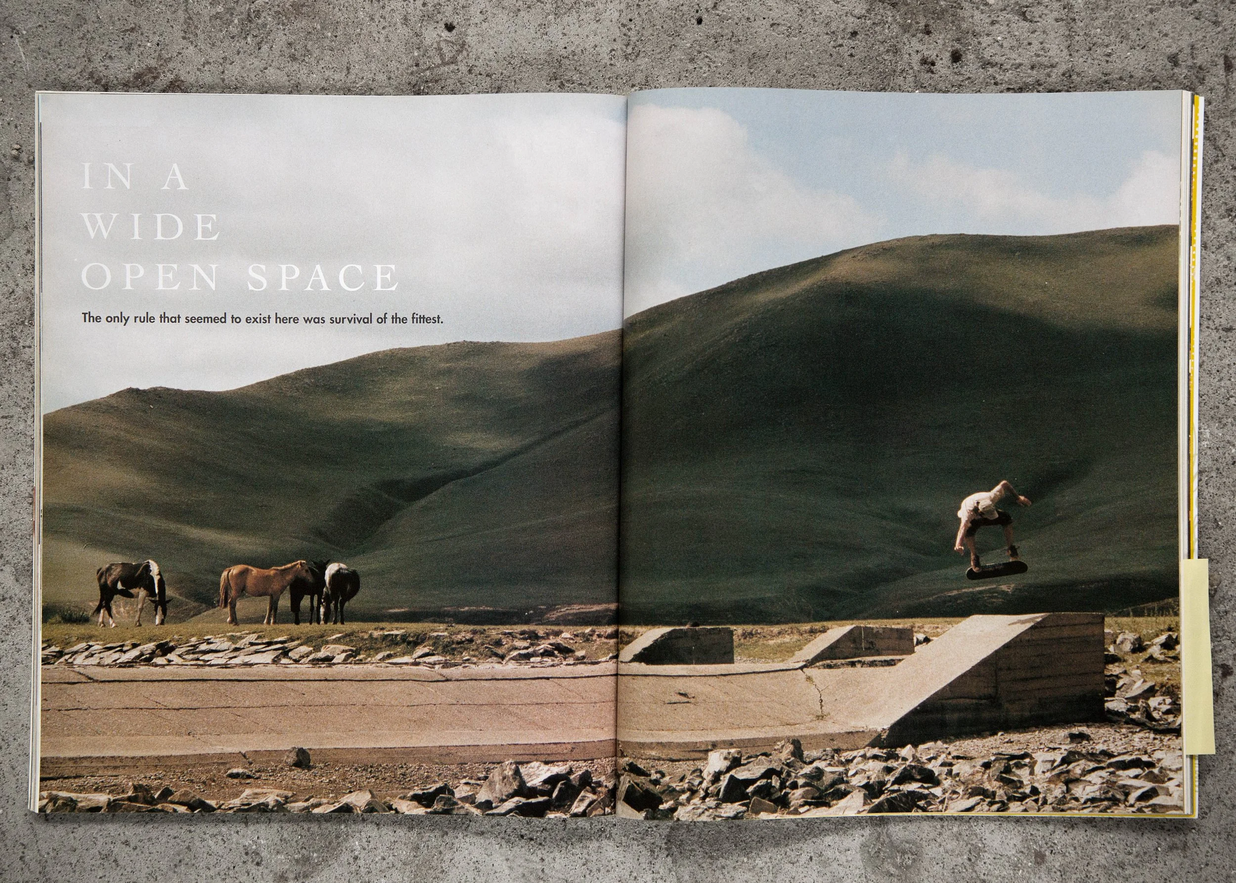 Kingpin mongoliet.jpg