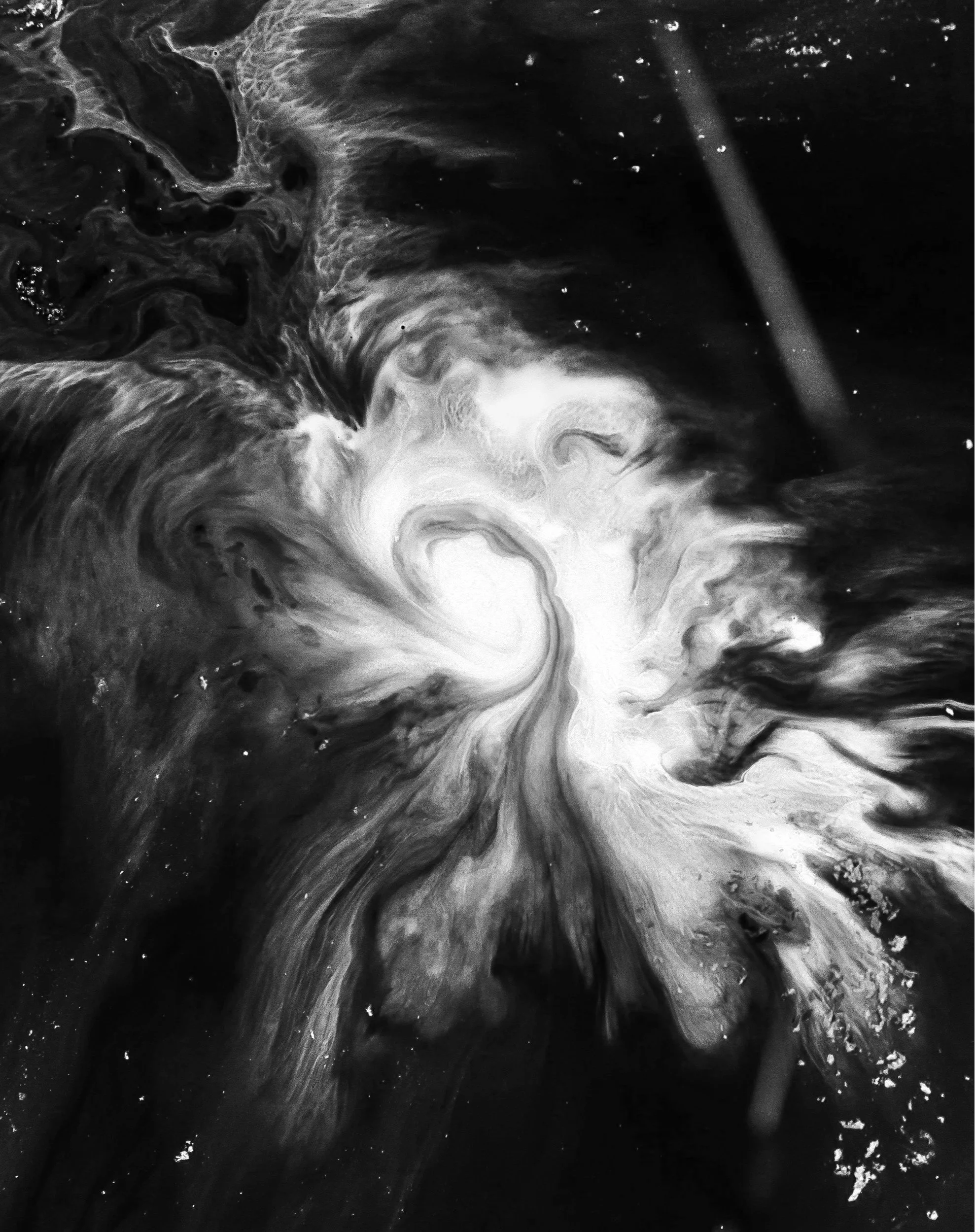 Black and white swirling pattern of liquids, resembling a whirlpool or abstract art.
