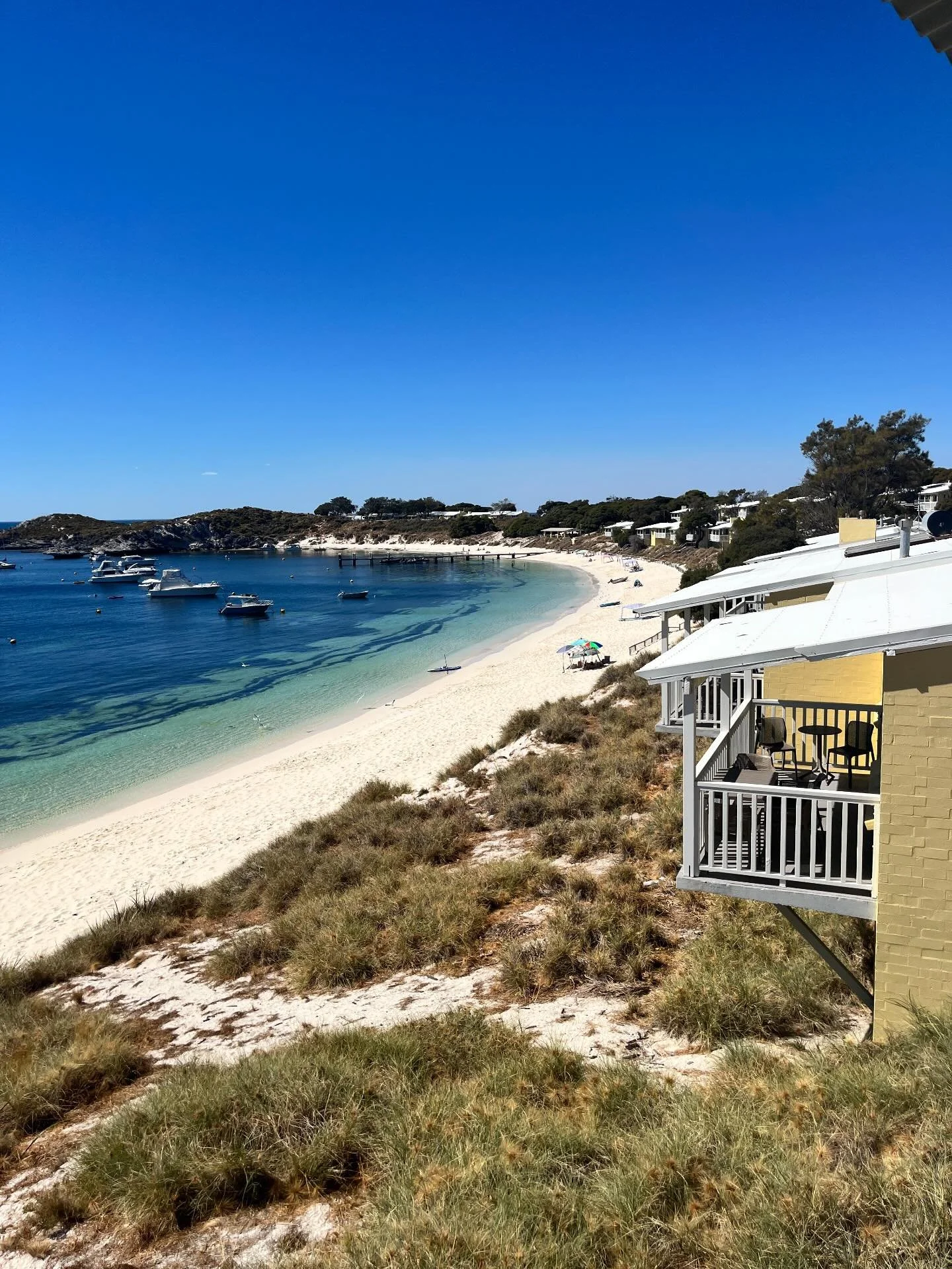 Some precious time to relax after workshops and art sales. The beautiful beaches of Rottnest Island 🏝️