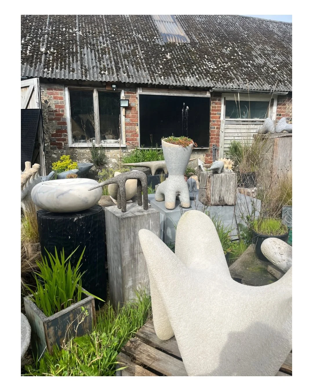 A sunny visit to see @guystevensstonesculpture at his studio, always a treat. I popped over to have a chat about which of his sculptures might show at our house this year. All the work is so special that it is quite hard to make a choice so we though