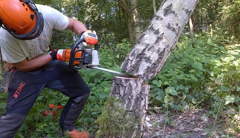 Forestry First Aid, GLASGOW                        £85