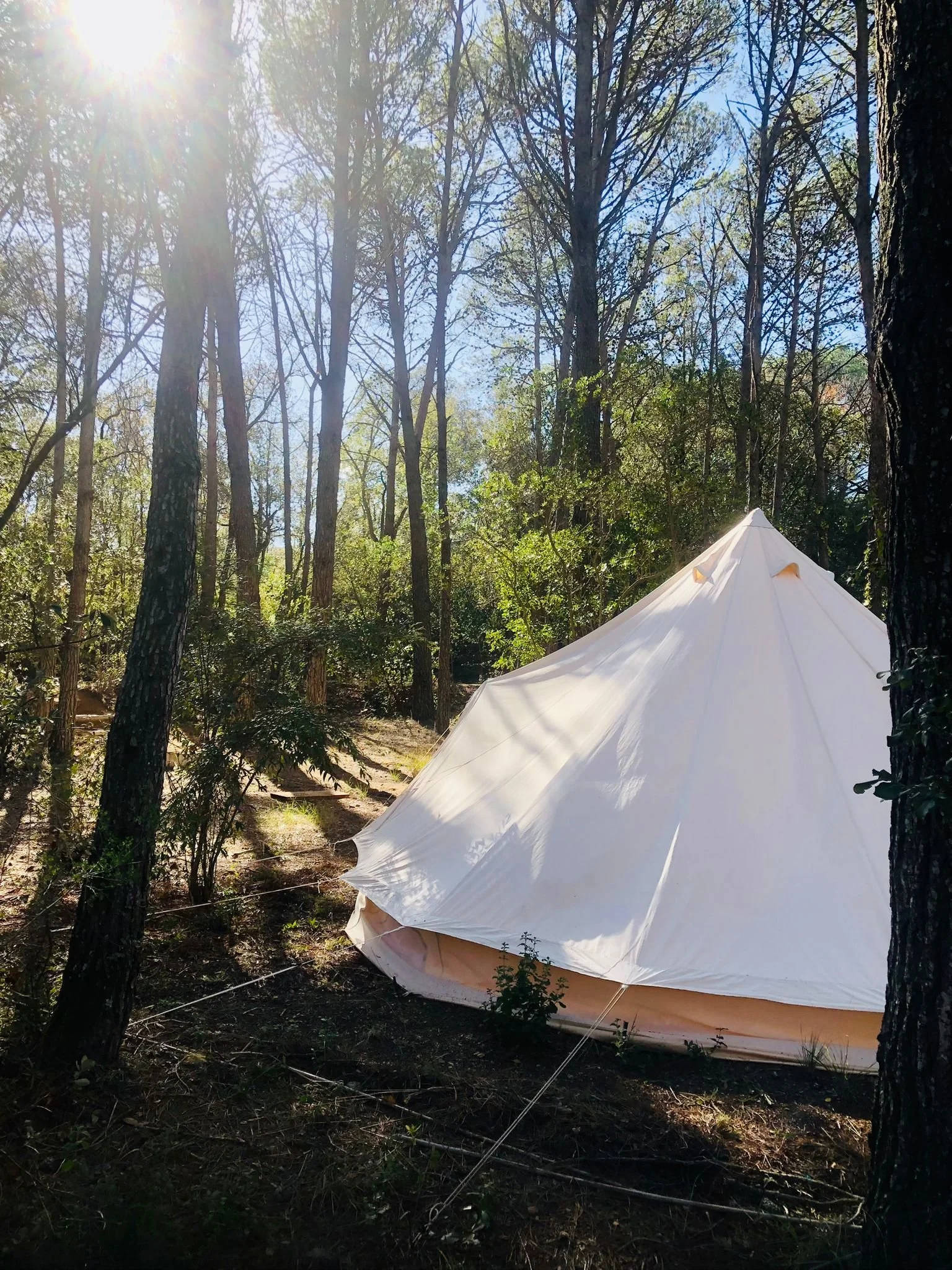 Bell Tent (add-on only)
