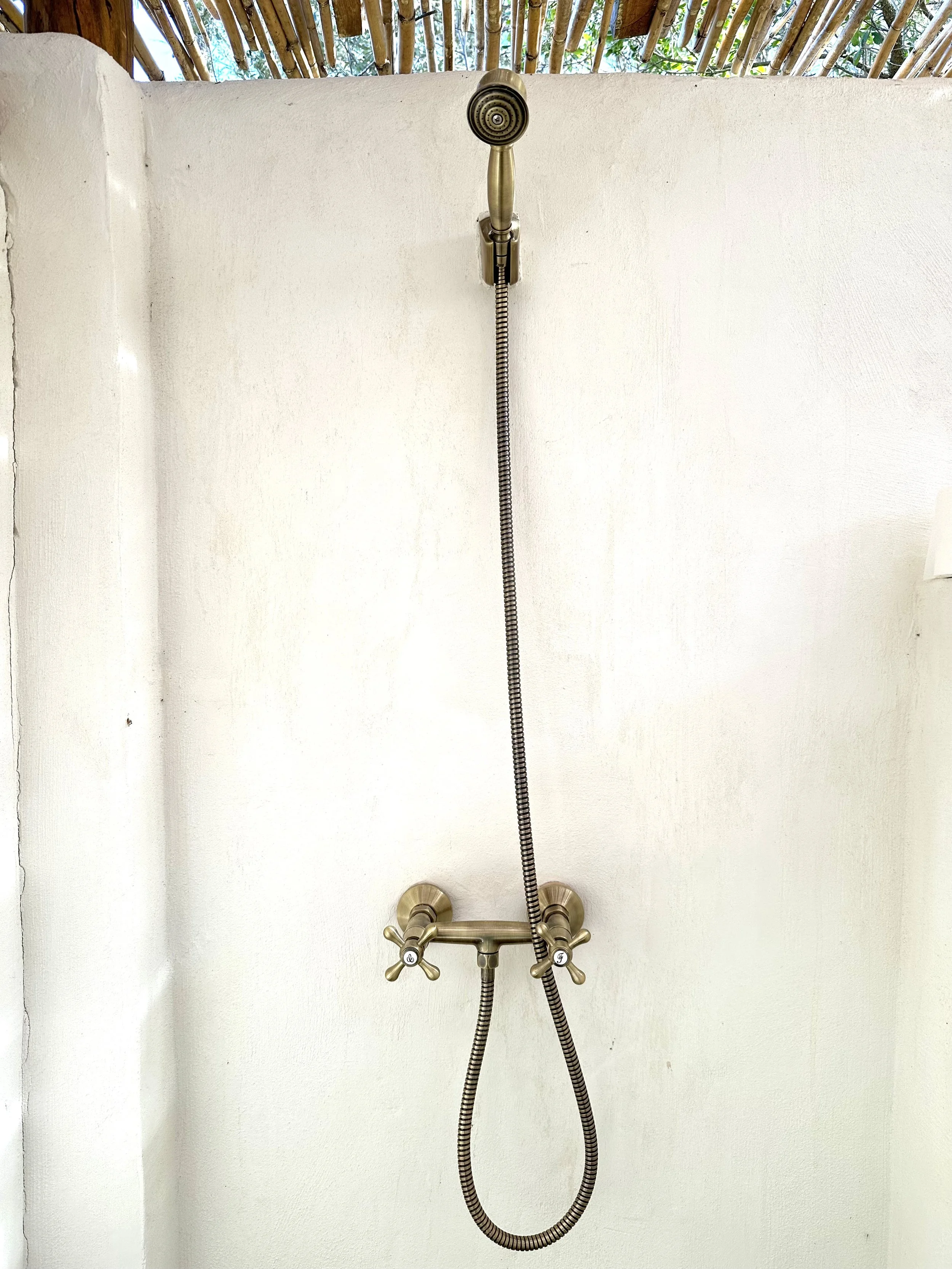 shower.jpeg