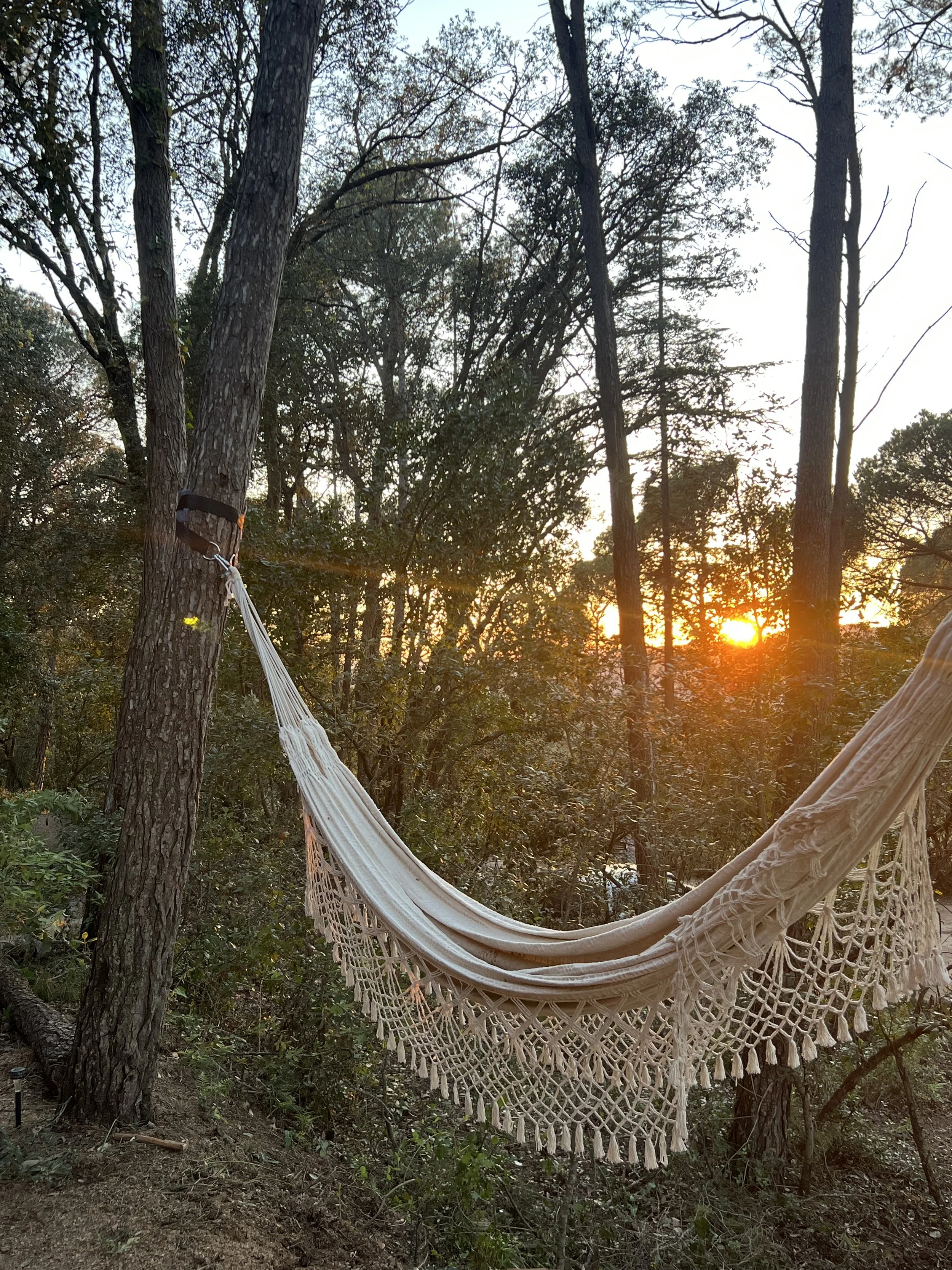 RELAXING HAMMOCK IN FOREST