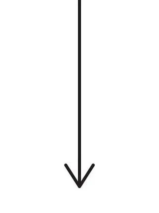 A vertical line with a downward pointing arrow beneath it.