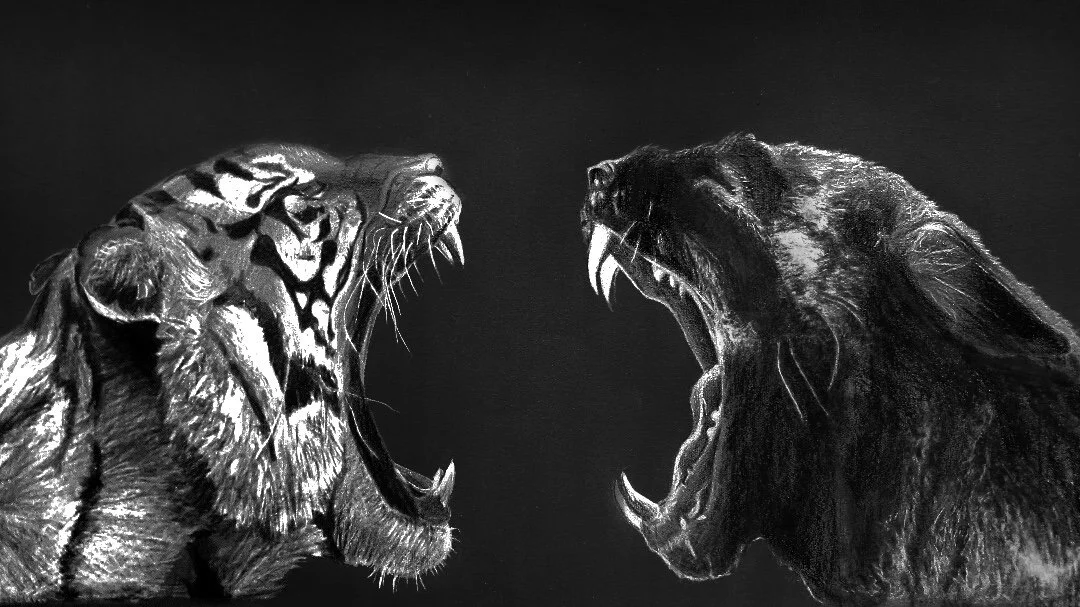 Drawing of two fierce, roaring big cats, a tiger on the left and a black panther on the right, facing each other with open mouths showing sharp teeth.