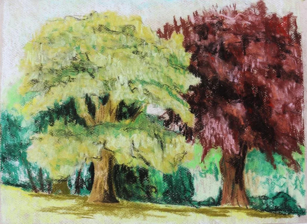 A colorful drawing of two oak trees with different colored leaves, one with yellow-green leaves on the left and one with red leaves on the right, in a park-like setting.