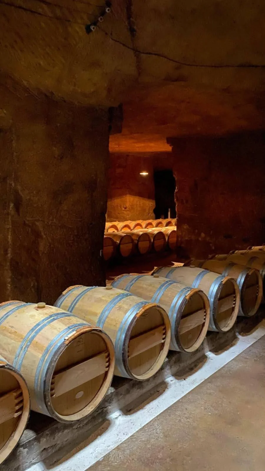 Wooden wine barrels in a wine cellar with dim lighting and stone walls.