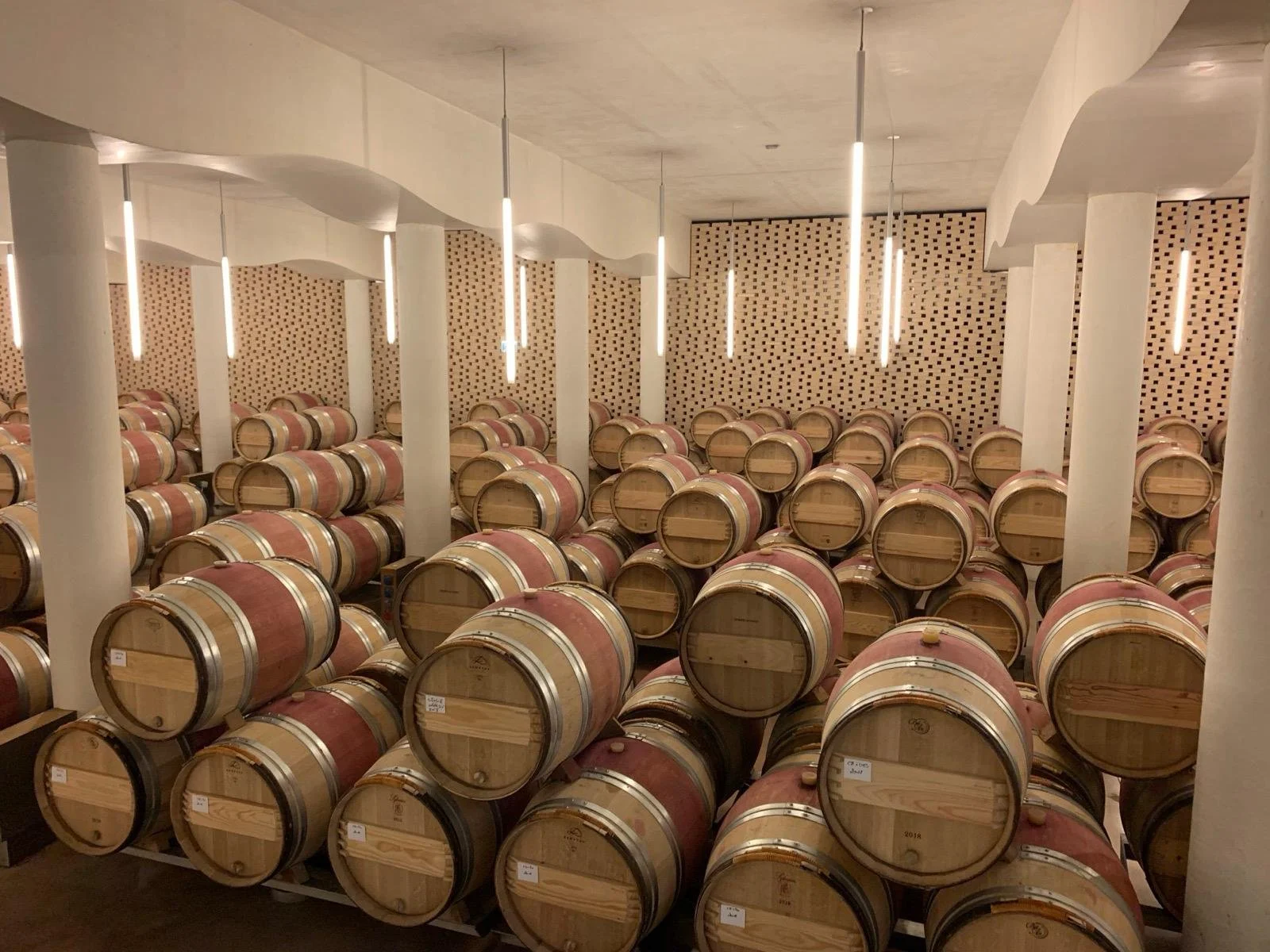 A wine cellar stacked with numerous wooden wine barrels arranged in rows.