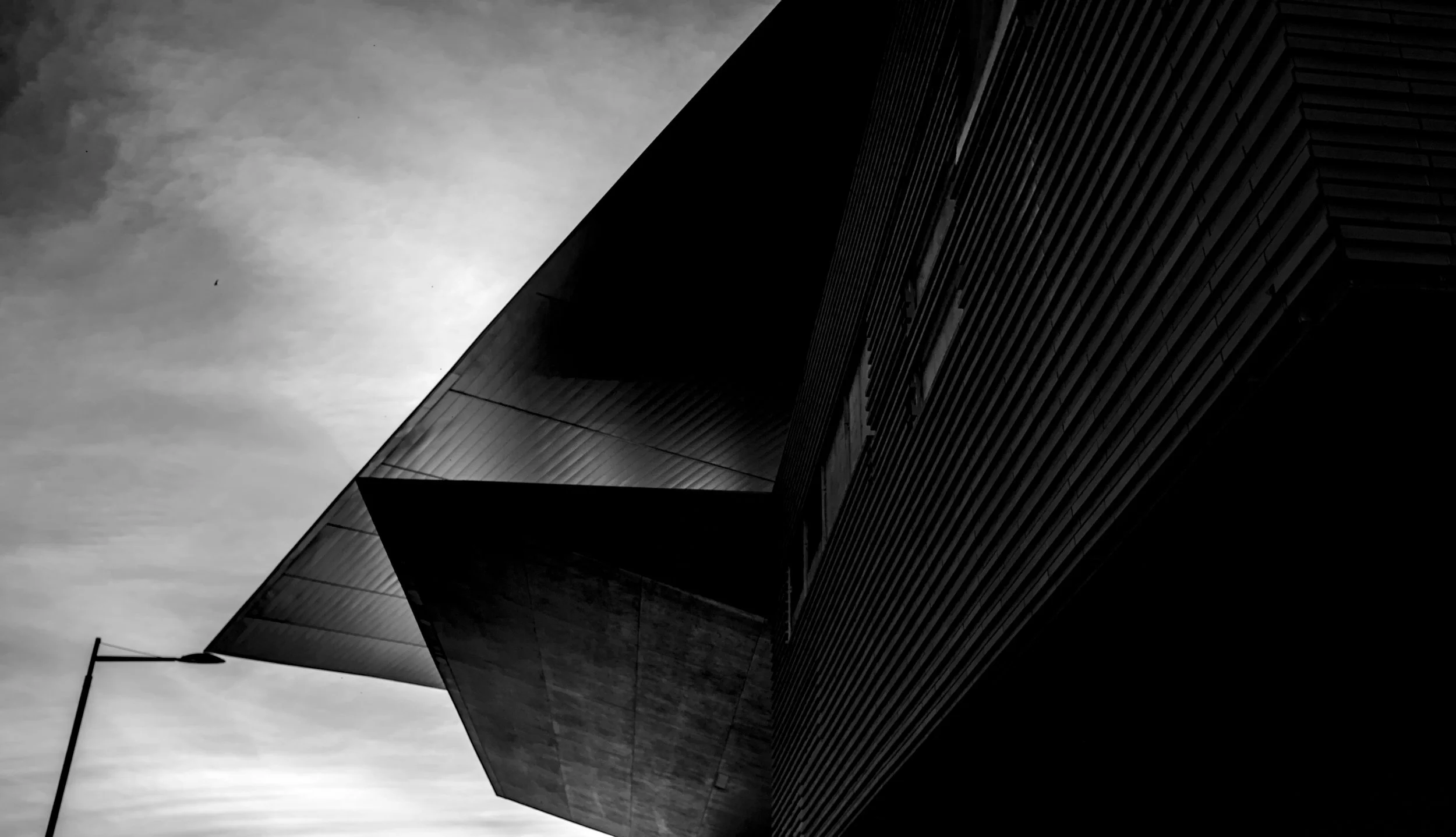 Pinocchio and the whale