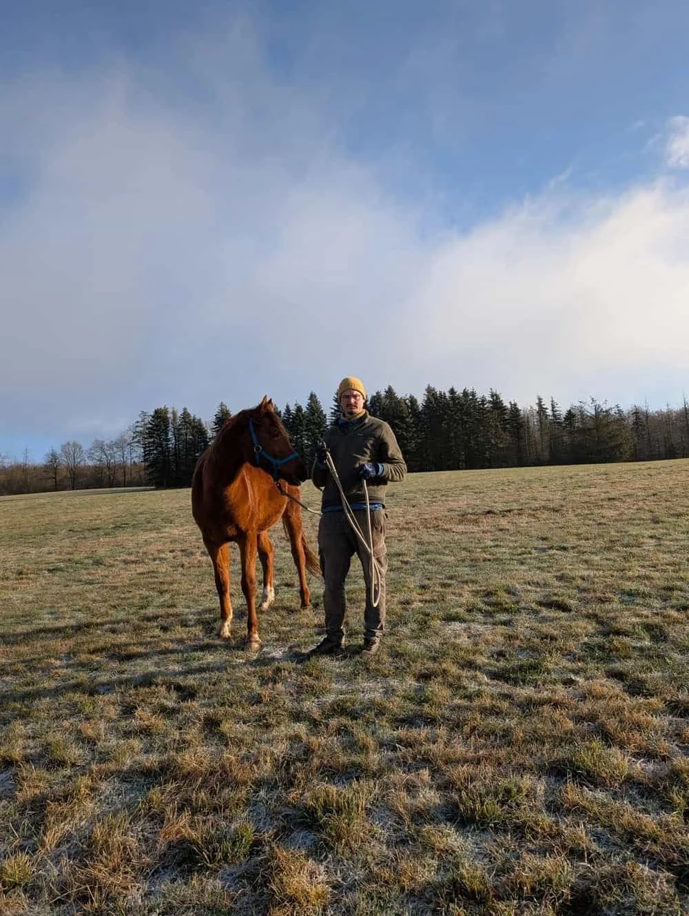 Ein Mann steht mit einem braunen Pferd auf einer offenen Wiese, mit Bäumen im Hintergrund und einem bewölkten Himmel darüber.