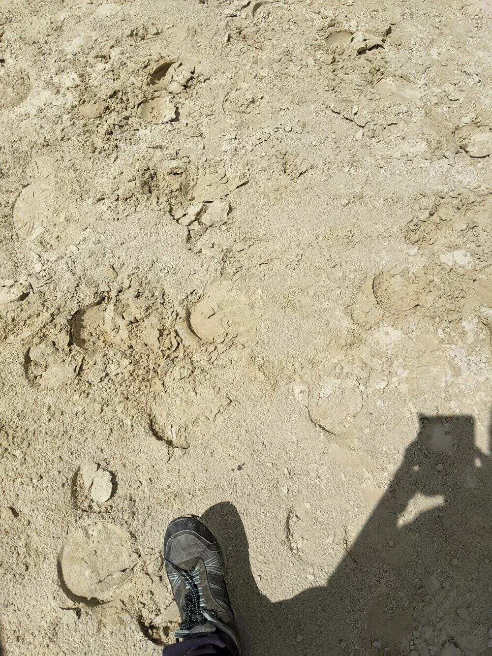 Boden aus trockenem, lockeren Sand mit Fußspuren eines Schuhs und einer Person, die Schatten wirft, sichtbar im unteren rechten Bereich.