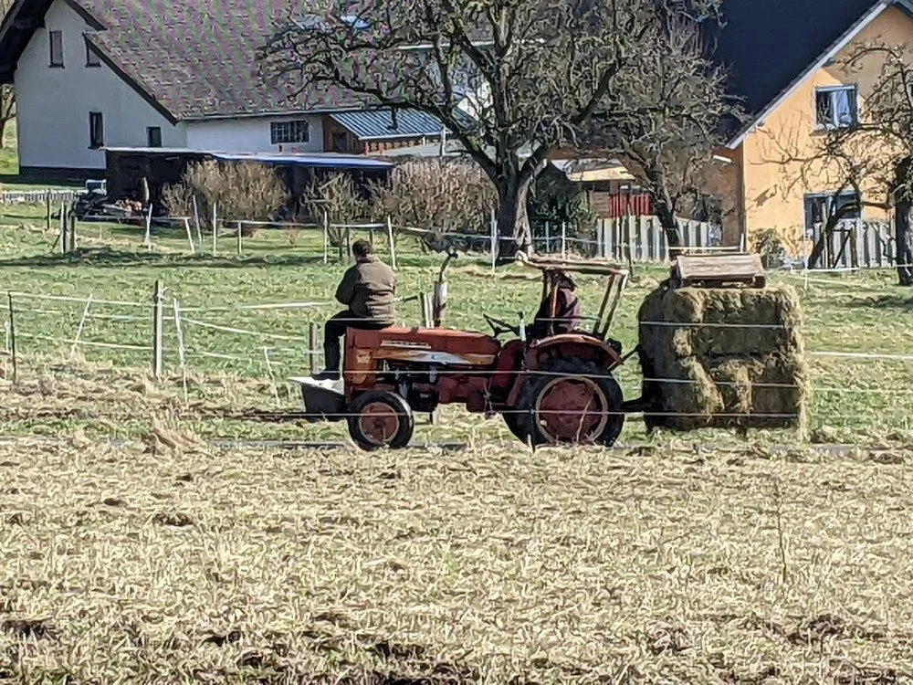 Ein Traktor zieht Heuballen auf einem Feld, im Hintergrund sind Häuser und Bäume.