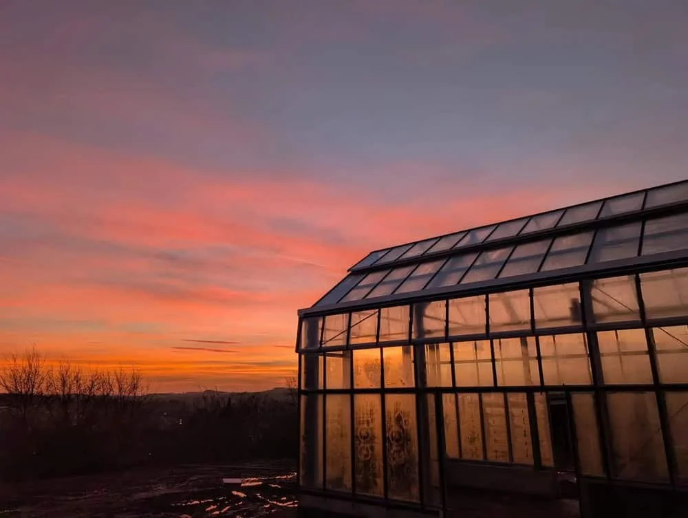 Gewächshaus bei Sonnenuntergang mit pinken und orangen Wolken am Himmel.