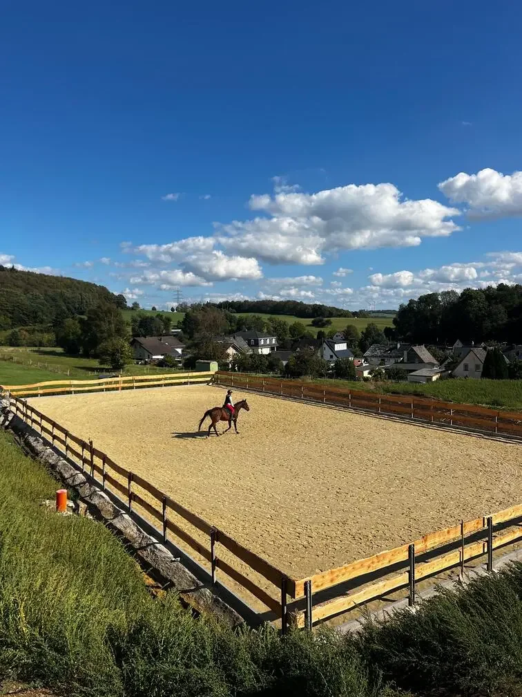 Pferd mit Reiter auf Sandplatz