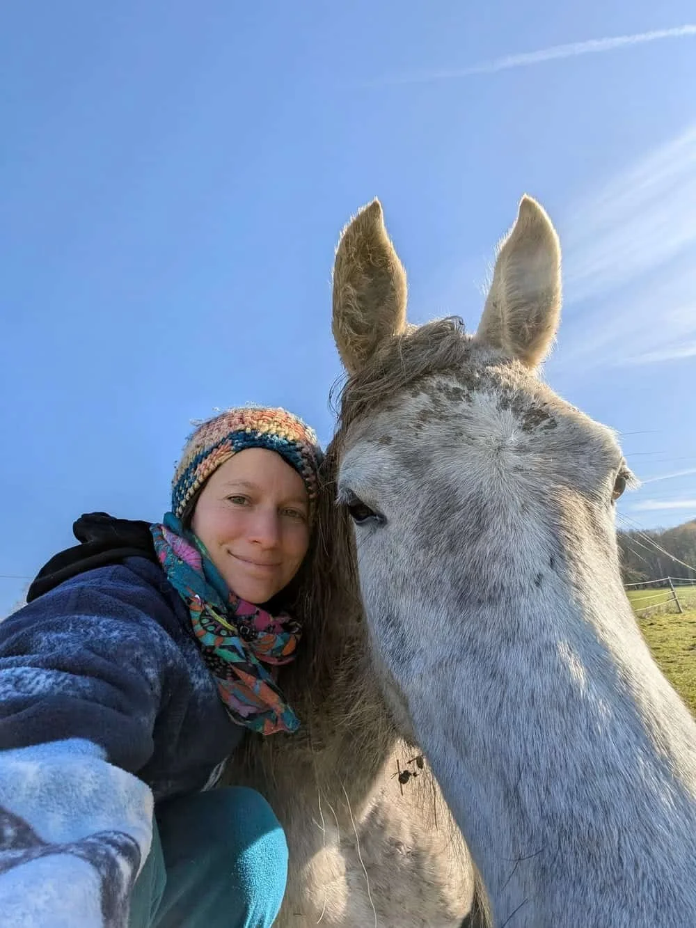 Eine Frau macht ein Selfie mit einem weißen Pferd bei Sonnenlicht auf einer Wiese.