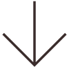Downward pointing arrow icon
