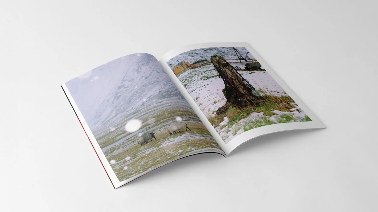 Open photo book displaying winter landscape images with snow, sheep, and a discarded tree stump.