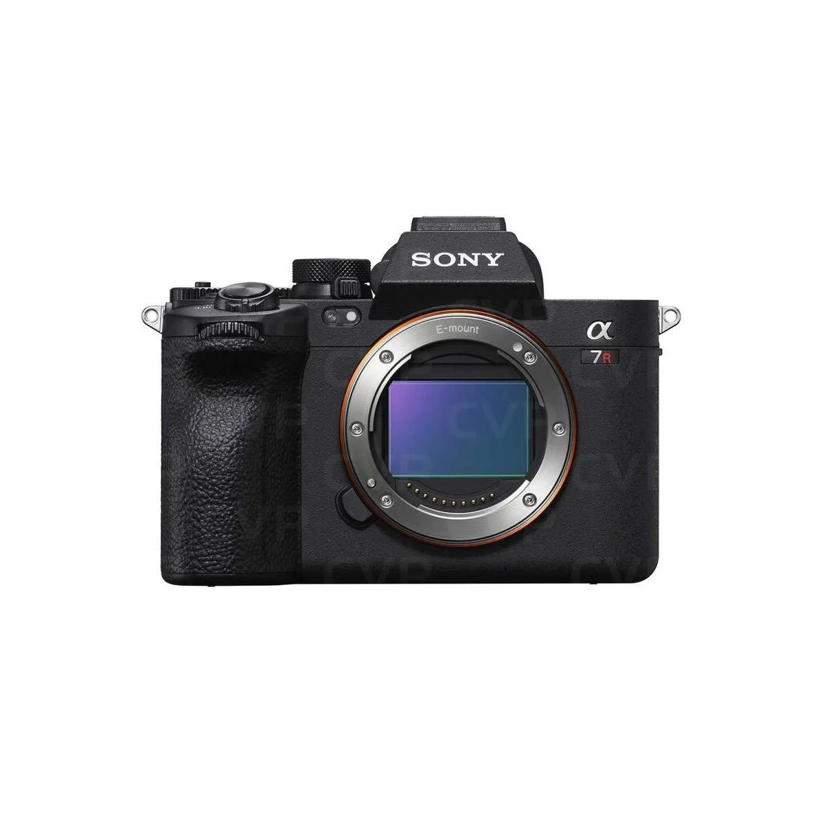 Sony A7RV Mirrorless Camera