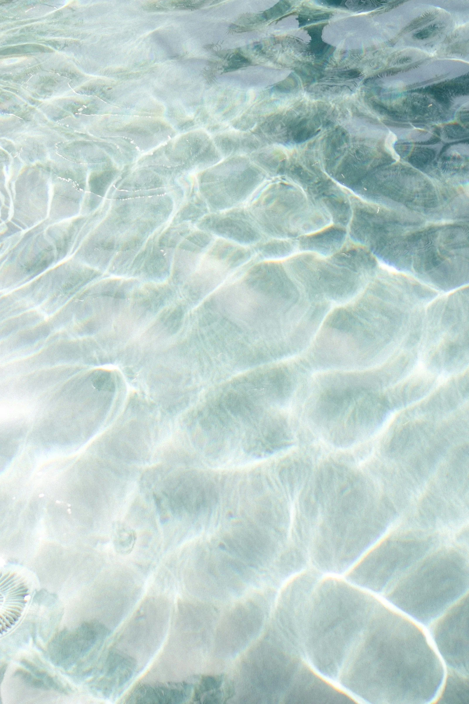 Clear shallow water with sunlight reflections creating a pattern on the sandy bottom.