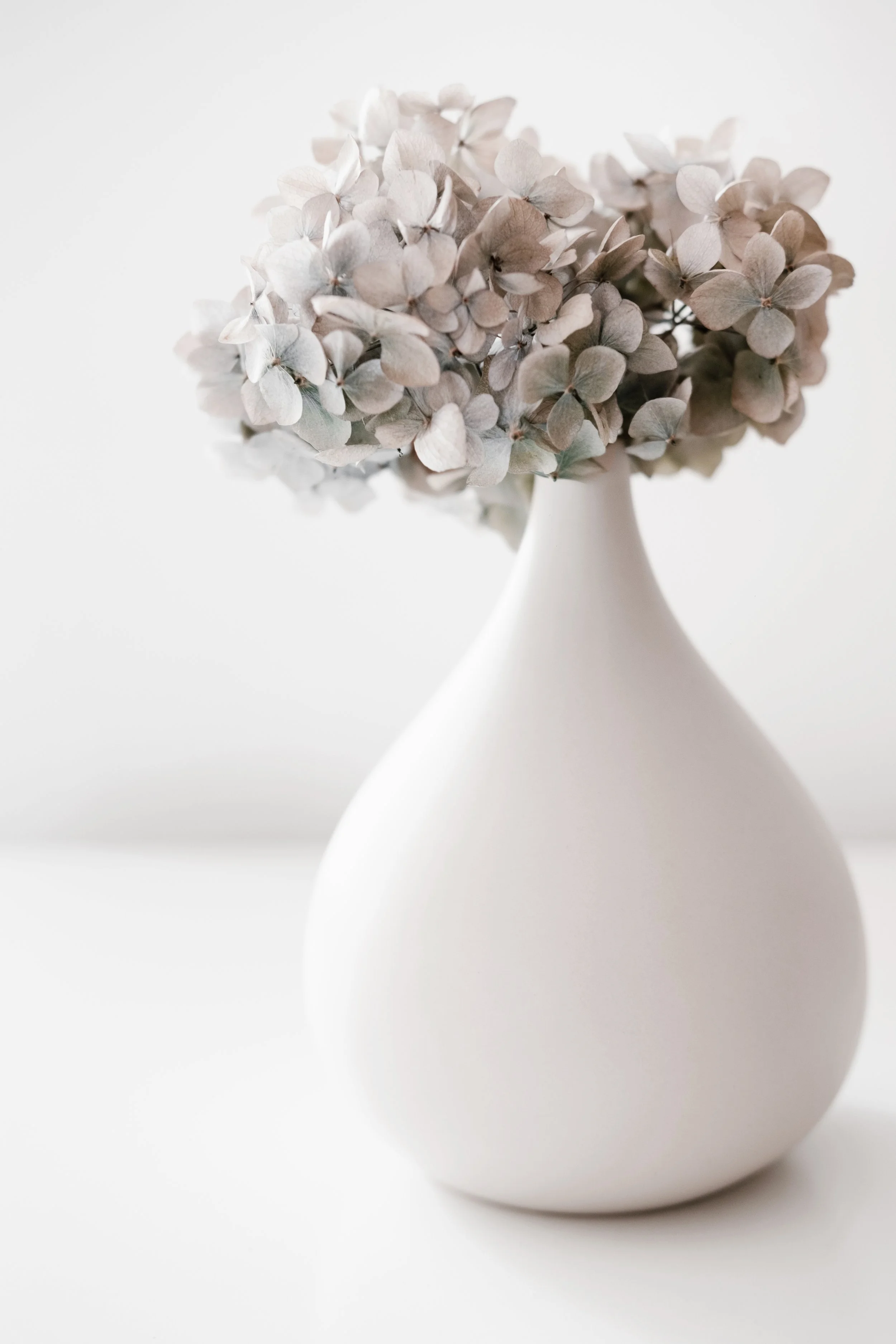 A white vase with a narrow neck and wide base containing a bouquet of light-colored hydrangea flowers, against a plain white background.