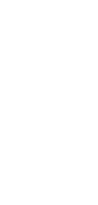 Line drawing of a flower with a large blossom and two leaves.
